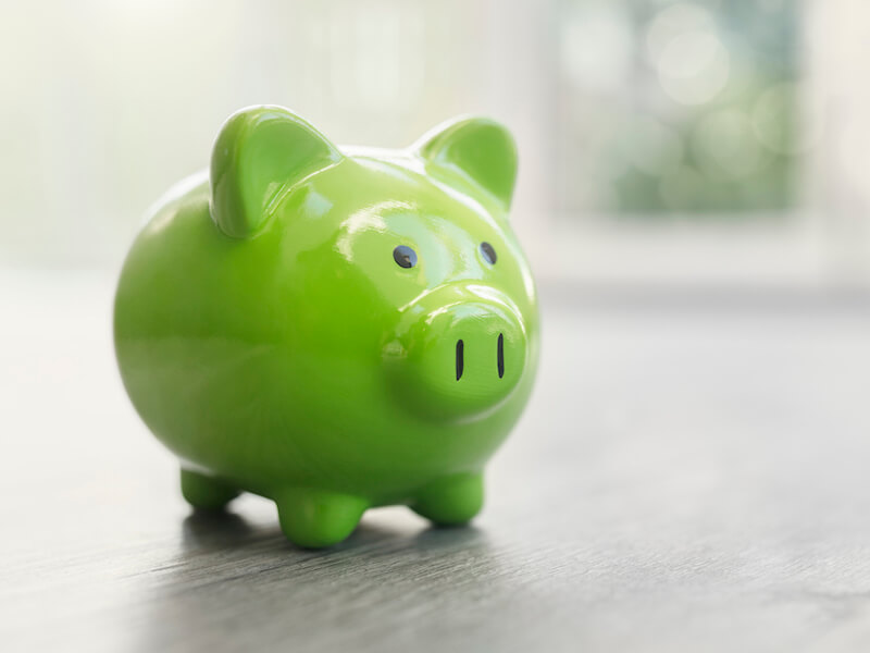 Picture of green piggy bank representing affordable hearing aids and a good deal.
