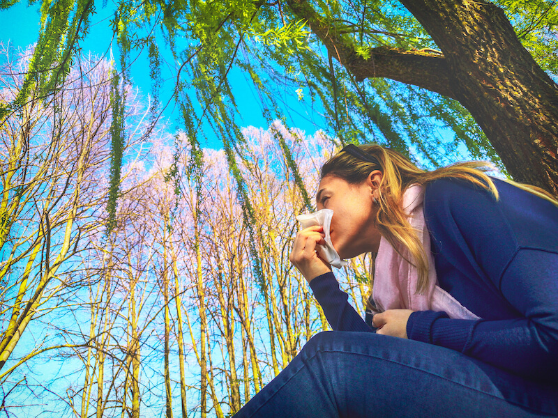 Woman sitting in a grove of pink flowering trees sneezing and blowing her nose.