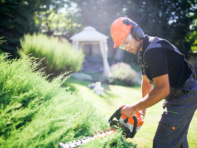 Man trimming bushes with electric trimmer while wearing hearing protection.