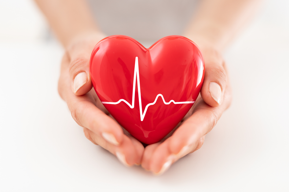 The woman is holding a red heart with heartbeat.